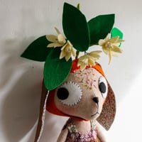 Image 14 of Clementine Blossom Kitty 