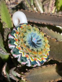 Image 4 of Sunshine Diamond