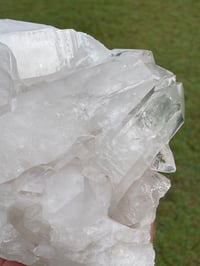 Image 8 of Clear Quartz Crystal Points Cluster #865