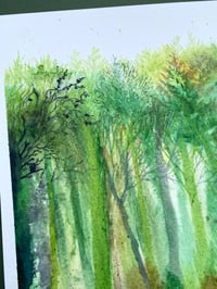 Image 5 of Wooddown Bog - Artwork 