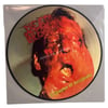 DEAD INFECTION - "A Chapter of Accidents" 12" vinyl picture disc