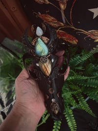 Image 19 of Spellbound adorned coyote skull 