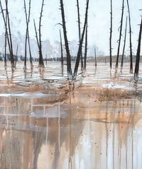 Image 1 of ORIGINAL - Fountain Flats (YNP)