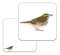 Image 5 of Northern Waterthrush - No.106 - UK Birding Pins - Enamel Pin Badge