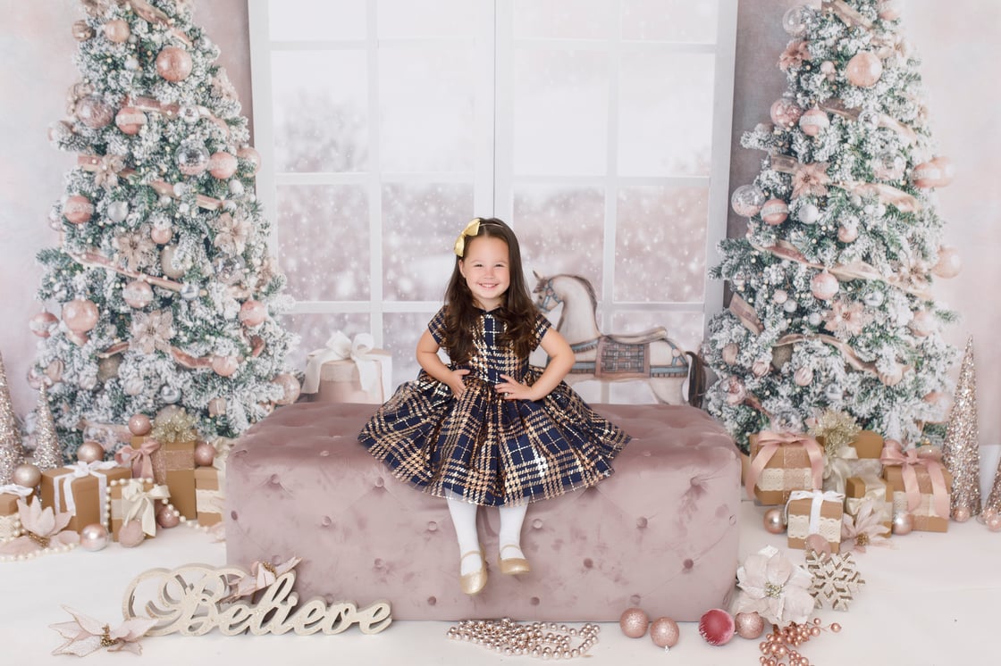 Image of HOLIDAY MINI SESSION 2024!! VIP EARLY BIRD
