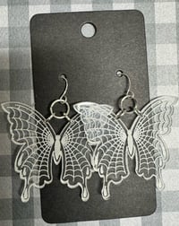 Image 2 of web butterfly’s