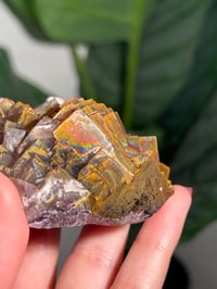 Image 14 of NATURAL RAINBOW IRIDESCENT CUBIC FLUORITE -CHINA- L