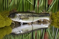 Finesse Shat - Baby Bass