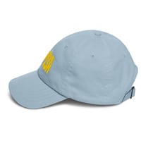 Image 3 of NEW! MDM 'ESCAPISM' Dad hat