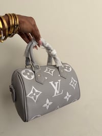Image 4 of LV nano speedy bag