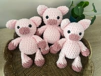 Image 3 of Paisley the Pig - RTS