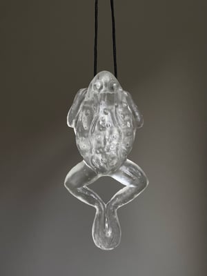 Dissected Frog Pendant Translucent 