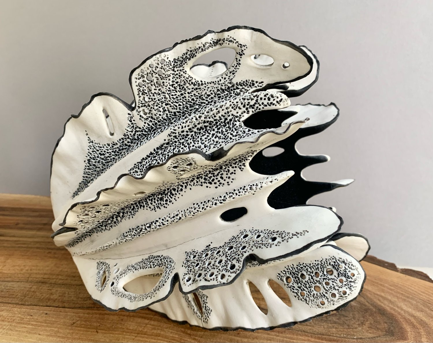 Image of Black and White Coral 