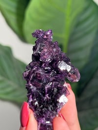 Image 4 of HIGH QUALITY SUGAR COATED PURPLE CUBIC FLUORITE -CHINA-