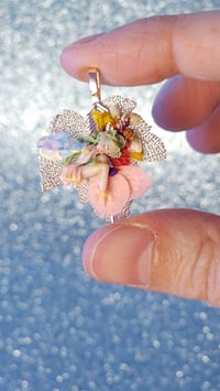 Image 2 of Rose -Spring Dreams