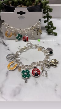 Silver Good luck charmbracelet 