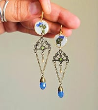 Elegant Forget me nots 