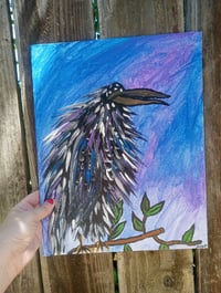 Image 1 of Crow
