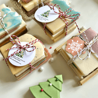 Image 1 of Soap Samples Bundle