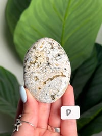Image 4 of CHOOSE YOUR OWN ORBICULAR VEINLESS OCEAN JASPER PALM STONES -MADAGASCAR- 
