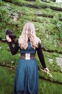 Image 6 of Hedgerow Spindle tutorial video 