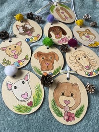 Image 1 of Les suspensions canines 