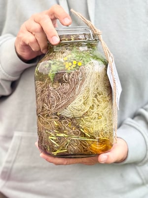 Image of SOL plantefarvedag, 2. august 2026