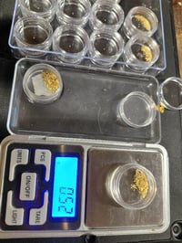 Image 3 of Gold button- 0.5g