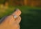 Image of Opal Wolkenring