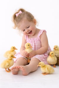 Image 2 of Duck, Duck, Smile