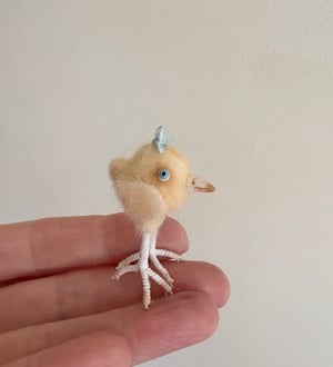 Image of Very Tiny Chicken Baby