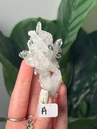 Image 2 of SMALL COLOMBIAN QUARTZ CLUSTERS WITH CHLORITE