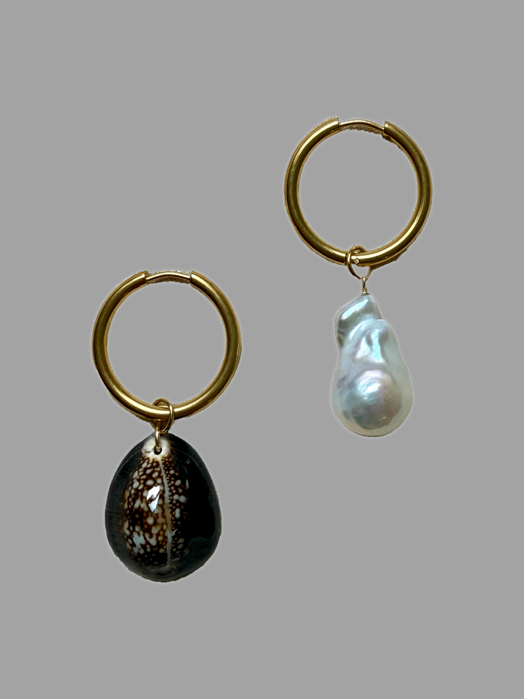 Image of Mismatched dark cowry hoops