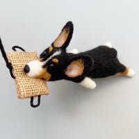 Felted Tricolor Corgi
