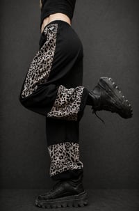 Image 2 of KILA Tracksuit Pants, mesh, leo