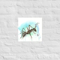 Ant'ony Print