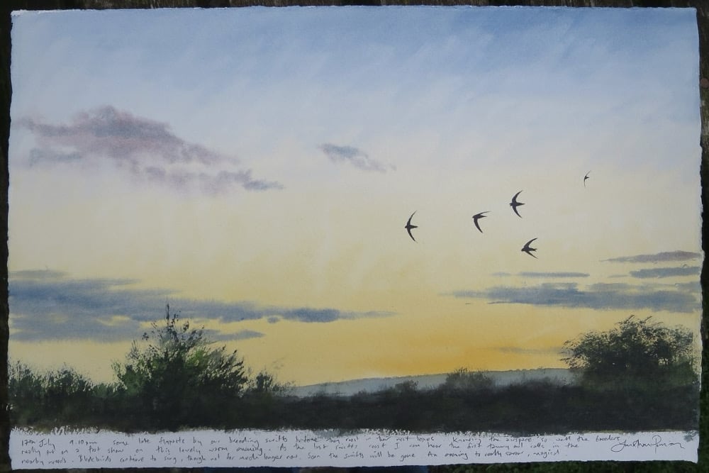 Image of Five swift flypast, 17th July