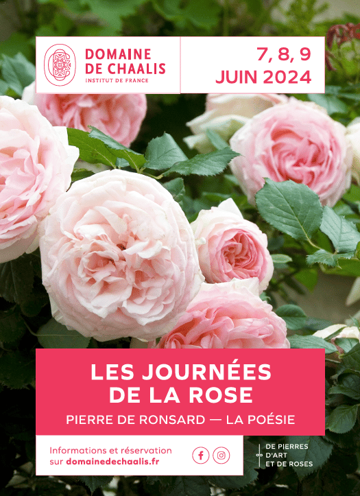 Image of Journées De La Rose 7-8-9 Juin 2024