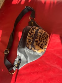 Image 3 of Leopard Funny Pack