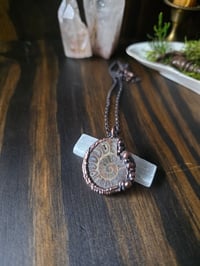 Image 3 of Ammonite #2