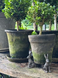 Image 3 of Rabbit Pot Feet - Set of 3