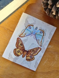Image 5 of The Moth Keeper’s Pocket Journal