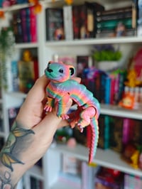Image 2 of Hurón (pequeño) arcoiris 