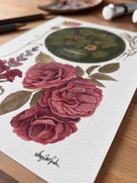 Image 2 of Nasturtium Fine Art Print 