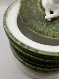 Image 3 of Criss Cross Mossy Cat Jar