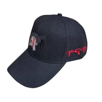 Image 2 of RCB HAT 2
