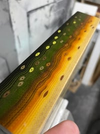 Image 2 of Bull Trout V2 by Mikie