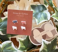 Brahman patriotic studs 