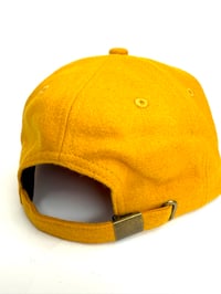 Image 4 of NFA SQUASH