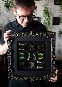 Image 2 of Green - butterflies collection 